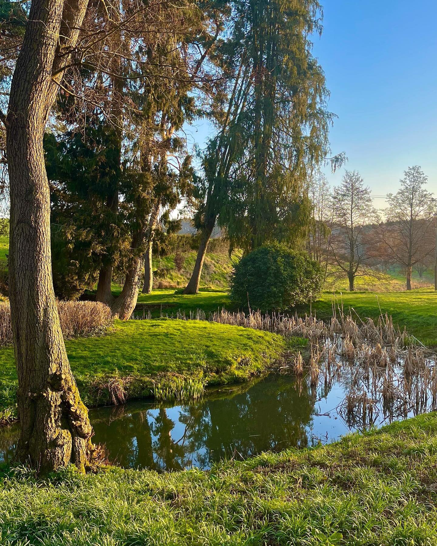 A peaceful morning at Kyre Park 🌳