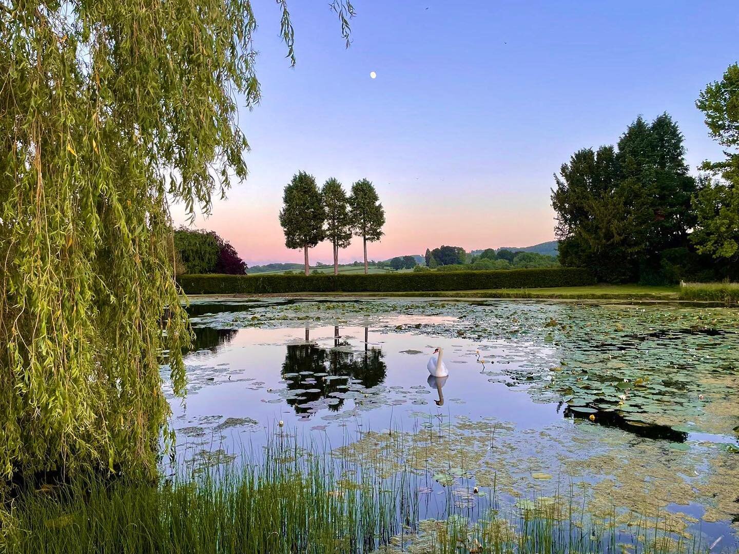 A magical midsummer evening at @kyrepark 
Stunning photograph capturing the lake with a rainbow sky, waxing moon &amp; swan 🌳🪷🦢🌙