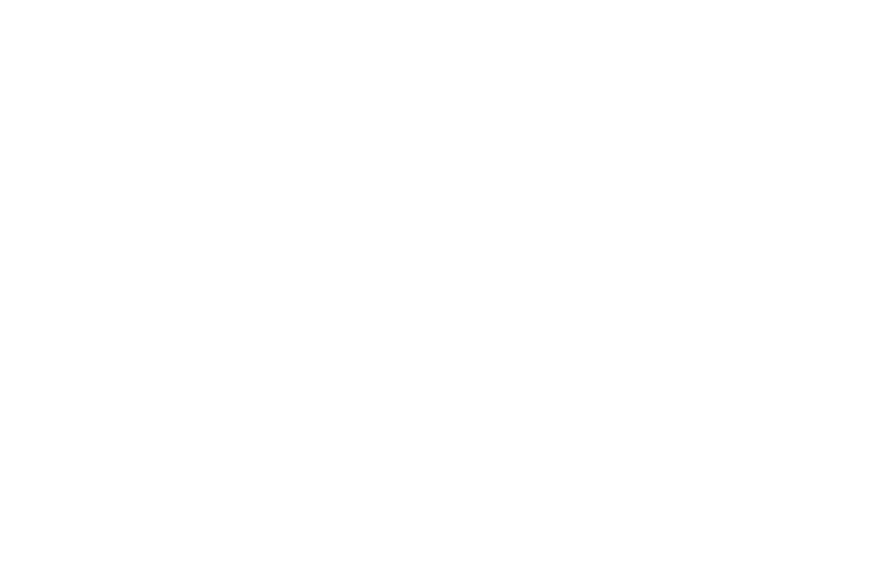 OFFICIAL SELECTION - Flickers Rhode Island International Film Festival - 2023.png