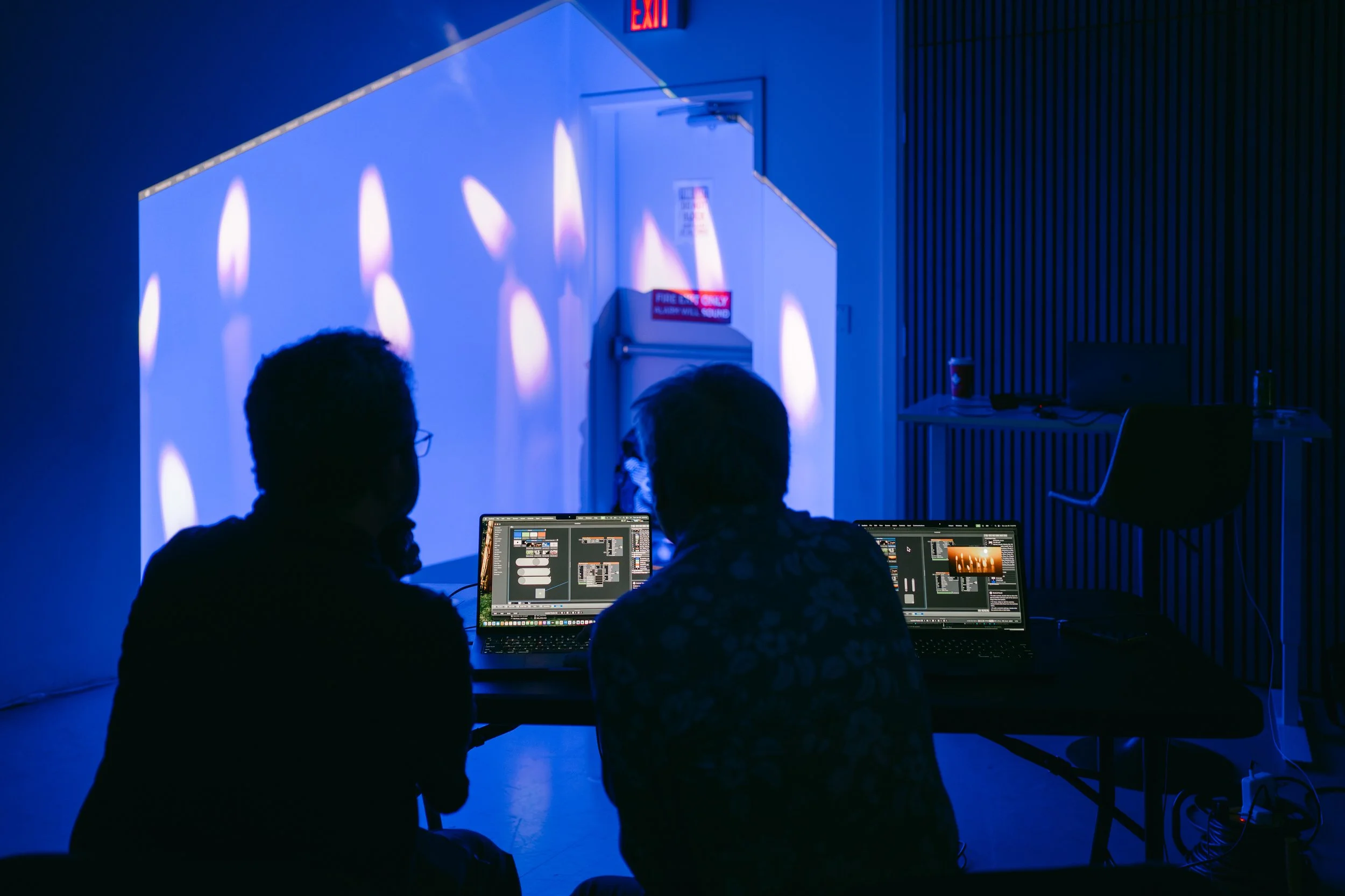 Projection Mapping-Jan 26  by María Vega-27.jpg