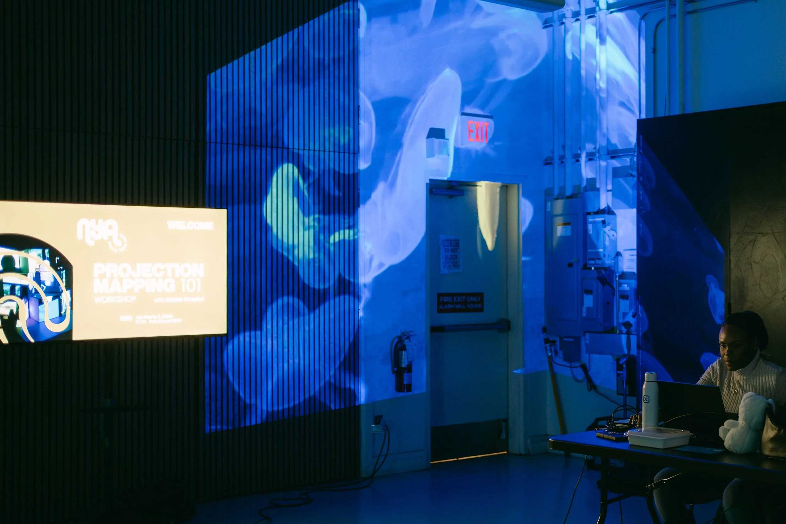 Projection Mapping-Jan 26  by María Vega-33.jpg