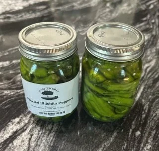Pickled Shishito Peppers
