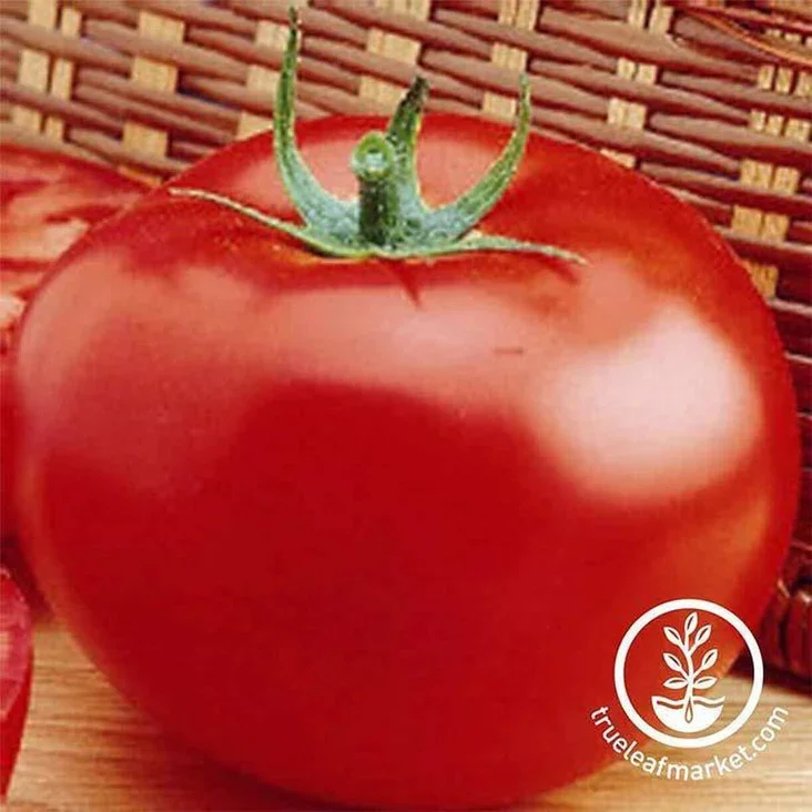 Slicer Tomato.webp