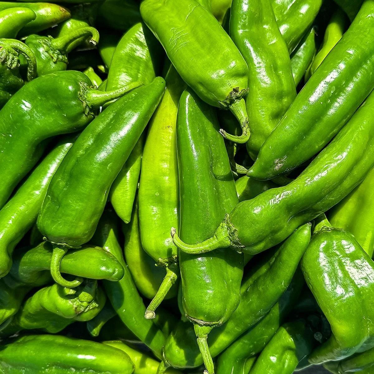 Hatch Green Chiles