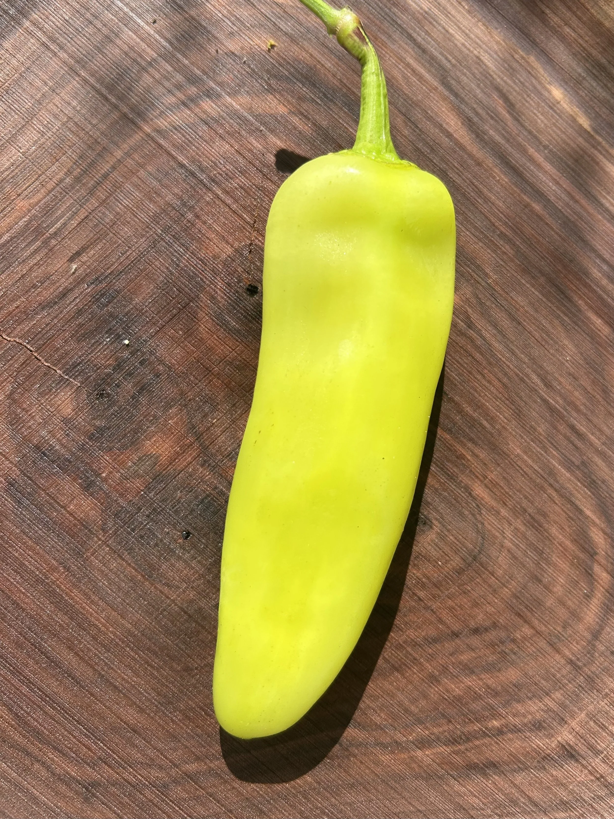 image9.jpeg