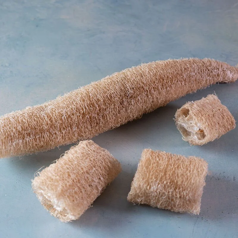 Luffa.jpg