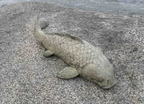 Cast Concrete Koi