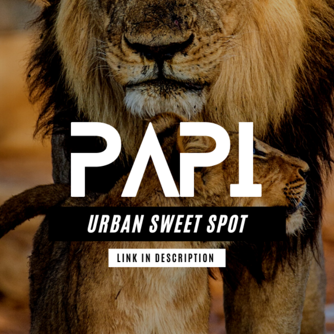 Papi 🦁