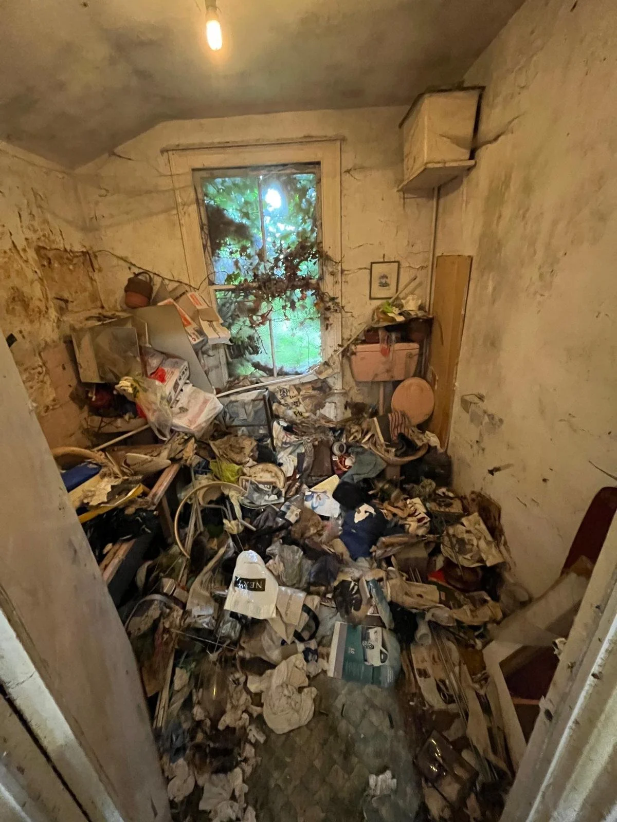 WhatsApp Image 2026-04-27 at 12.31.45 (3).jpeg