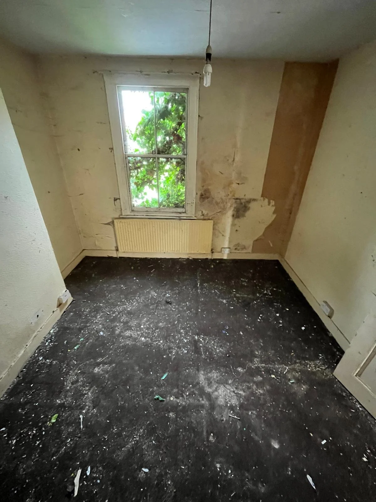 WhatsApp Image 2026-04-27 at 12.31.45 (9).jpeg