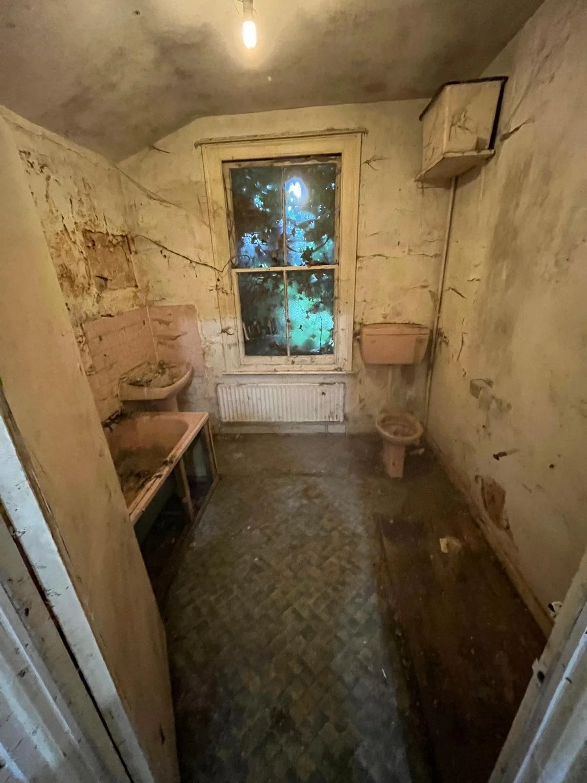 WhatsApp Image 2026-04-27 at 12.31.45 (13).jpeg