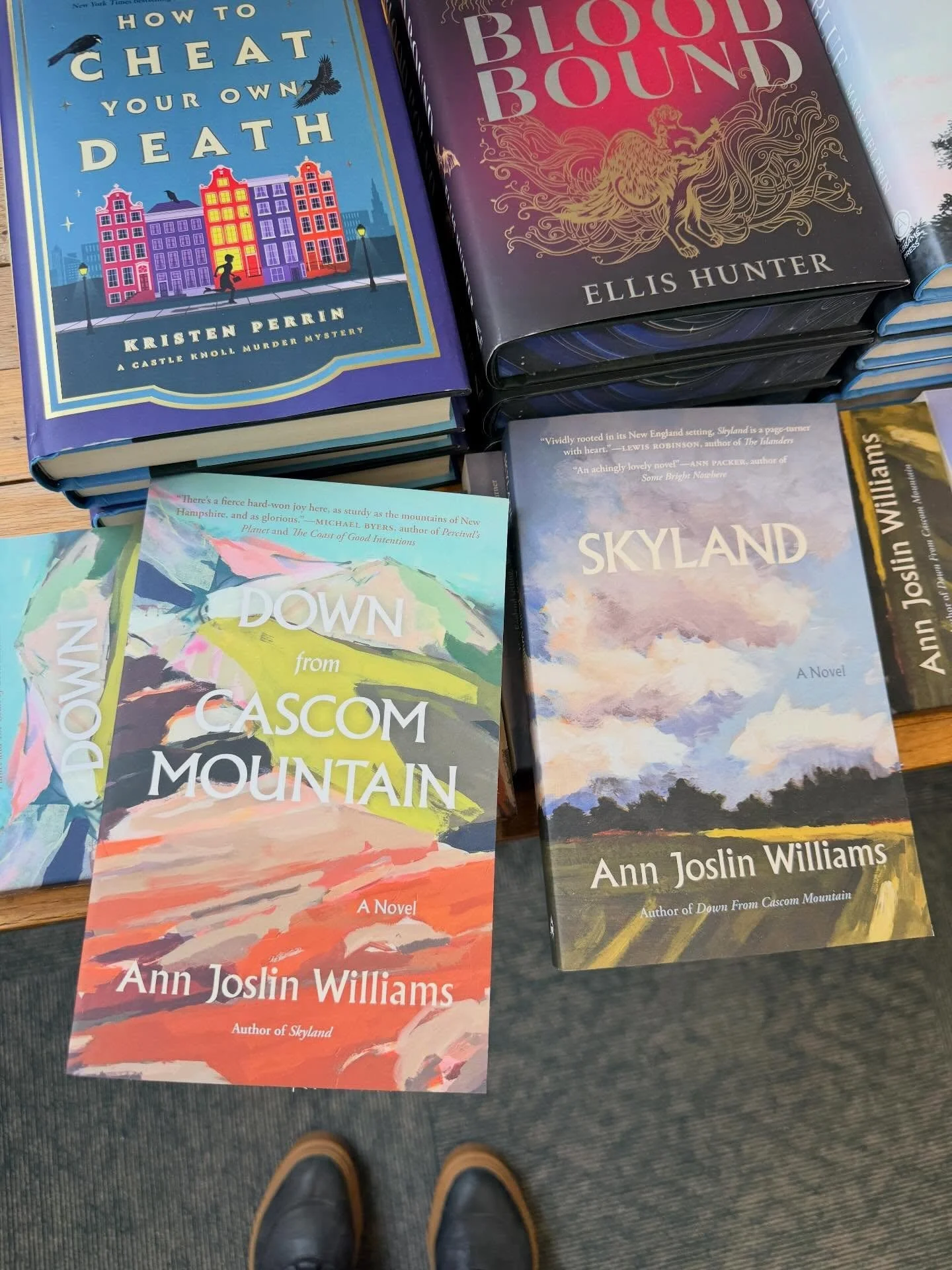 Saw the two of my covers I designed for two newly-released books by @annjoslinwilliams and @islandportpress in the wild, which is always fun. Down from Cascom Mountain features a painting by @mandabittner_studio on and Skyland a painting by Teresa La