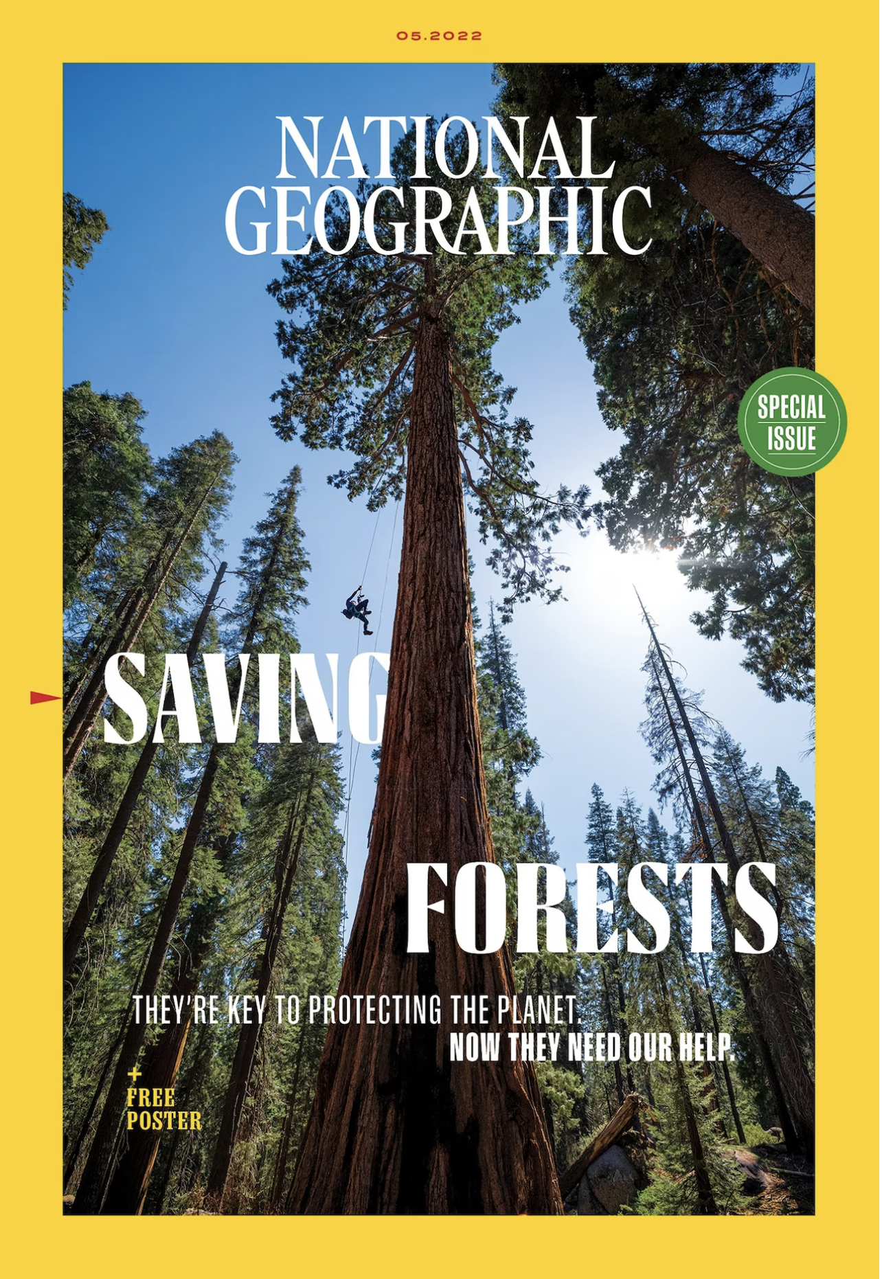 National Geographic’s Behind The COver: Saving the Forest