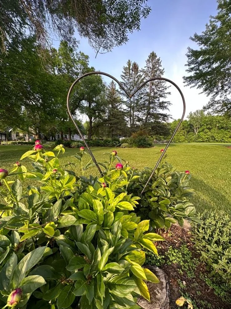 Majestic Oak Ranch Wedding Venue