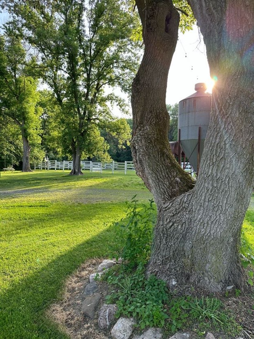 Majestic Oak Ranch Wedding Venue