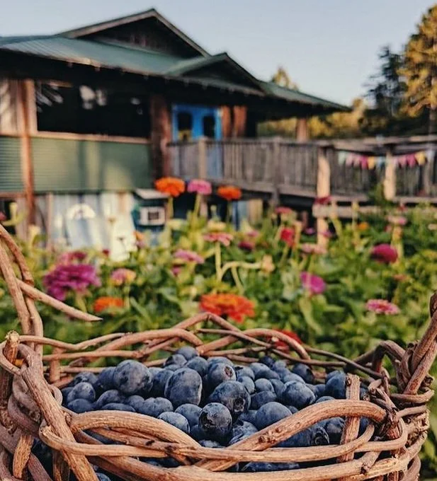 Mother's Day Art-n-Soul Market @ Honeysuckle Tea House