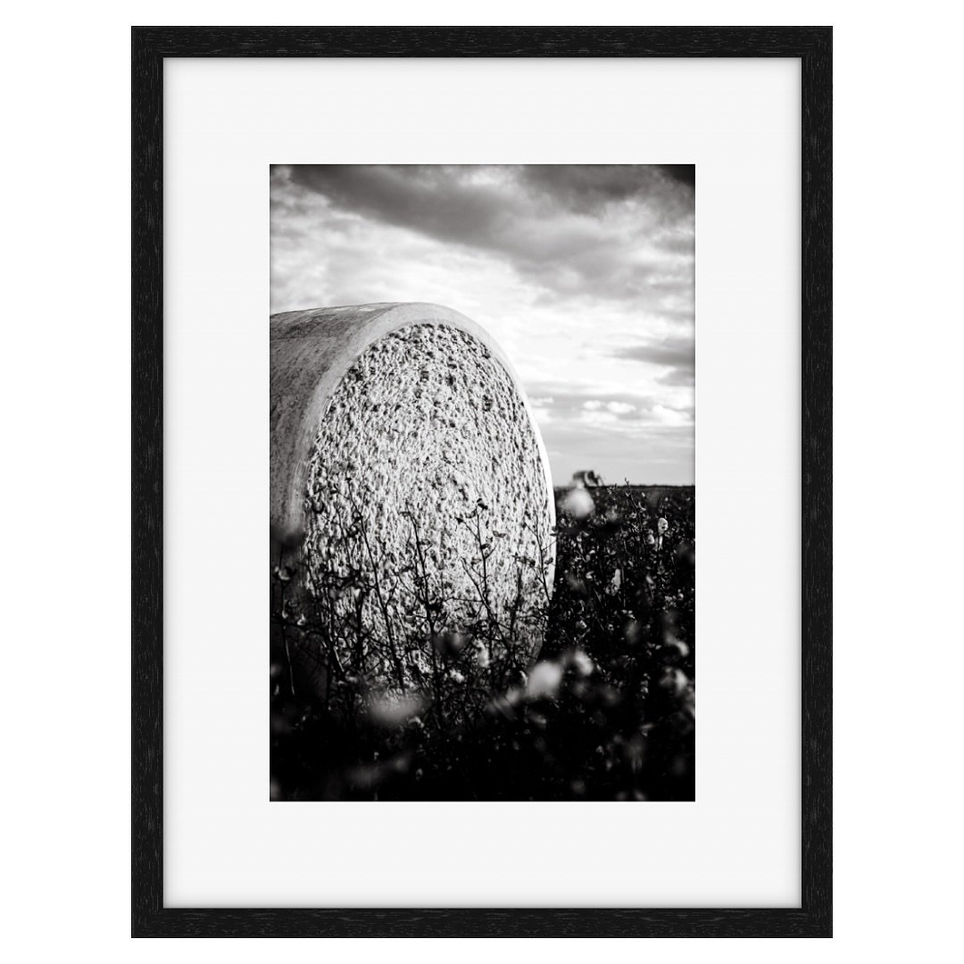 I&rsquo;m adding a few prints to my Limited Edition Cotton collection and I need your help. 

Do I go with the B&amp;W or the colour or add both? 

#limitededitionprints #fineartphotography #landscapephotgraphy #farmphotography #thefarmersfriendphoto