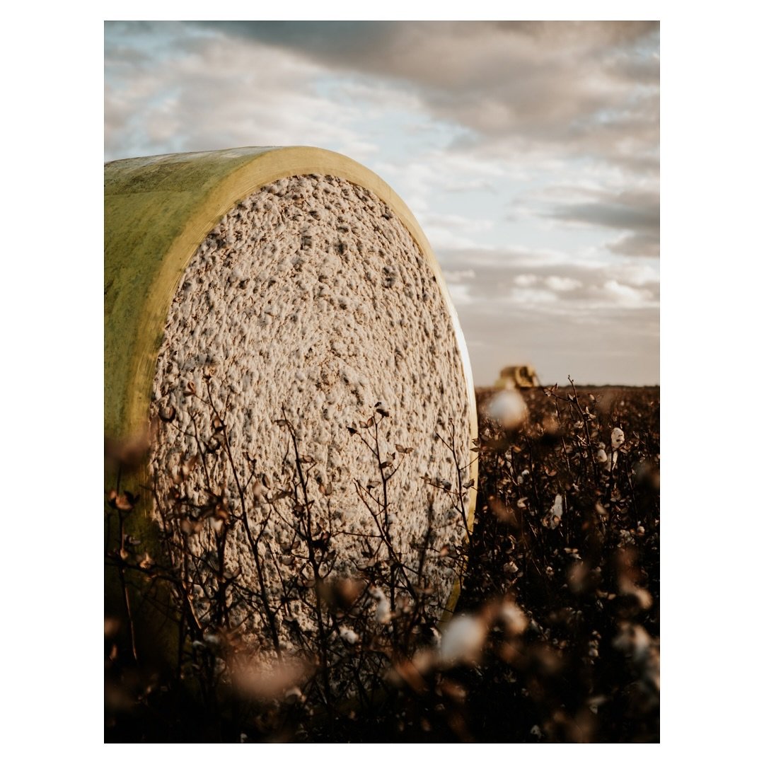 Buying art might be tax deductible&hellip;

Especially if it&rsquo;s local photography of the land you love 😉

Turns out, giving your office or farm shed a glow-up could also help with tax time.

I have a handful of prints in stock and some new addi