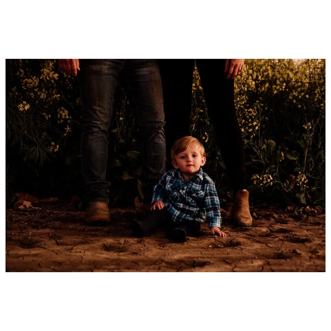 A little snippet from yesterday 💕

#thefarmersfriendphotography #thefarmersfriend #familyphotography #farmphotography #farmfamily #farmkids #goondiwindi #goondiwindiphotographer