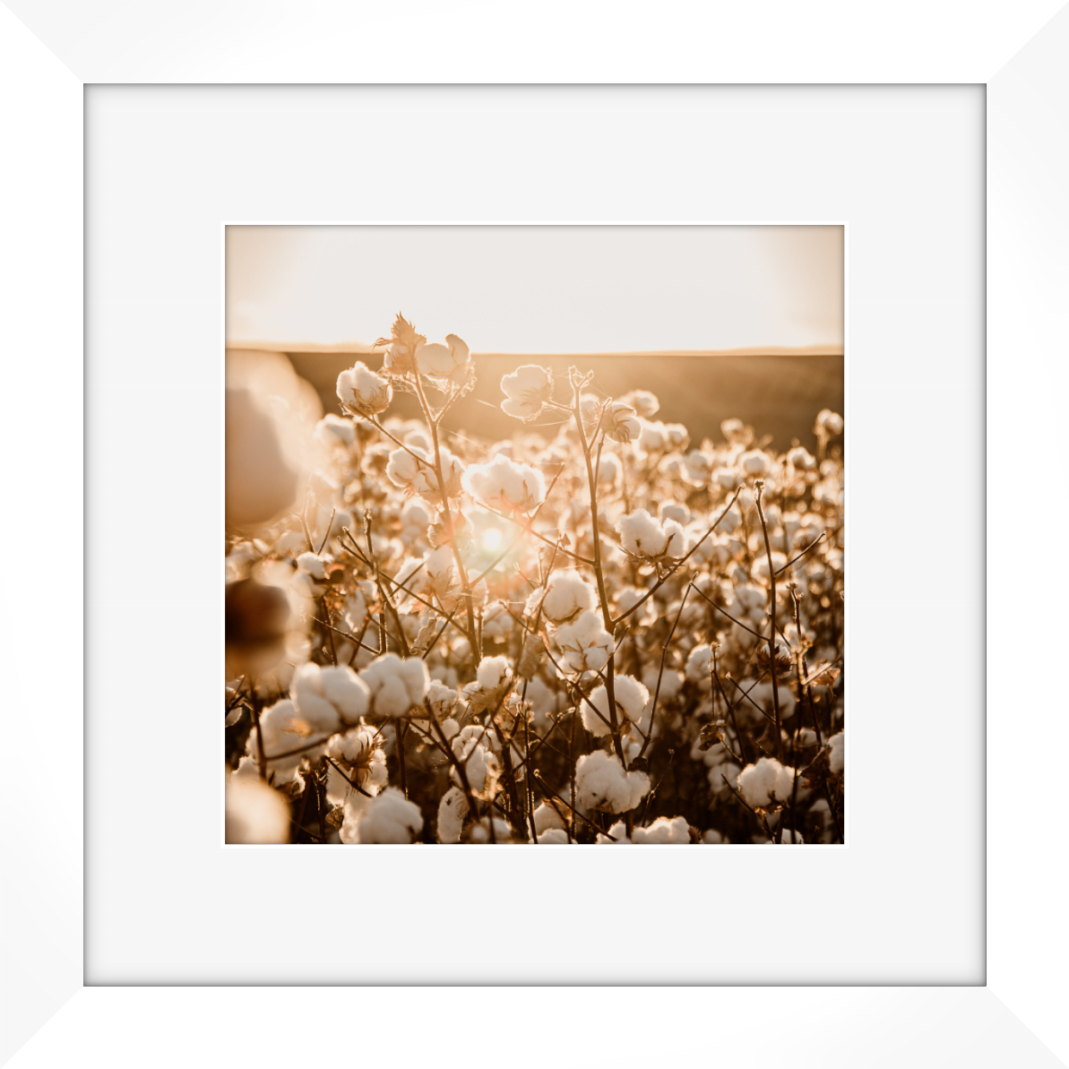 Holding the Light