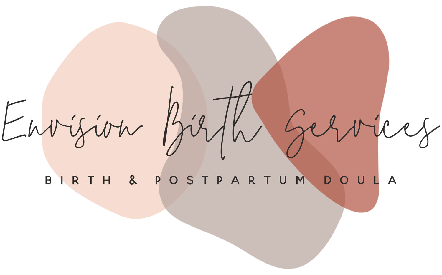 Envision Birth Services