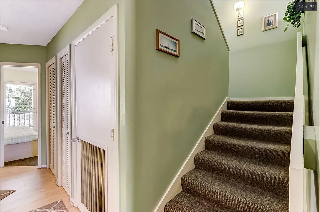 Screenshot 2024-12-13 10.38.11 AM.png