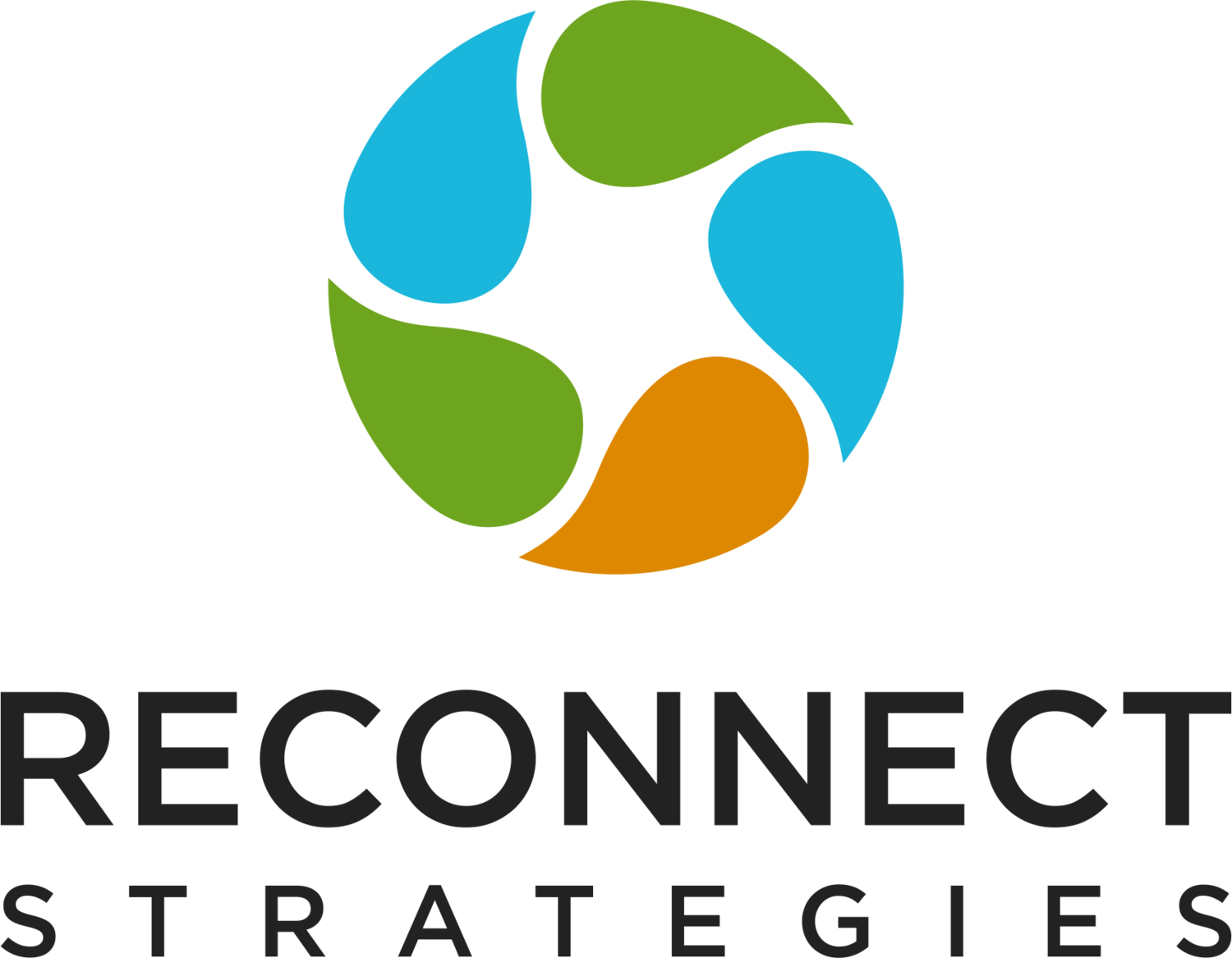 Reconnect Strategies &mdash; Strategic Communications Consultant and Freelancer for Social Change Nonprofits