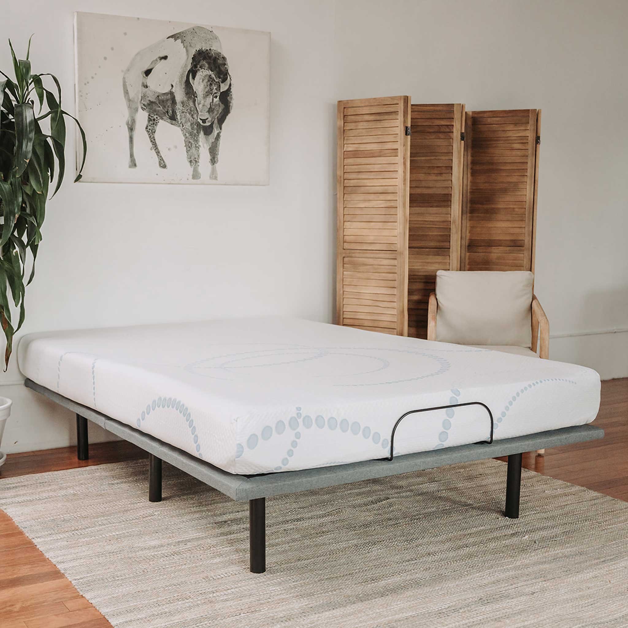queen-bed-frame-and-mattress-combo.jpg