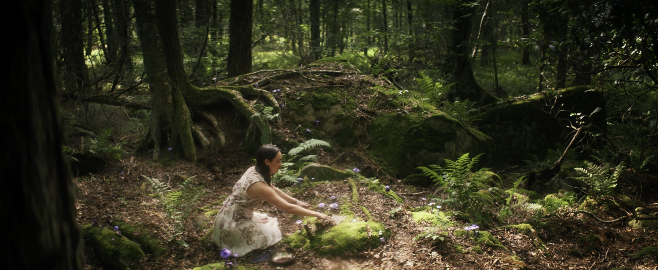 Screenshot 2026-01-23 at 8.03.48 PM.png