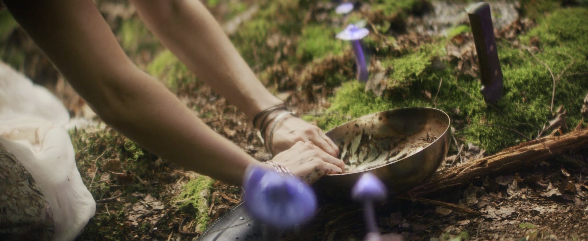 Screenshot 2026-01-23 at 8.04.00 PM.png