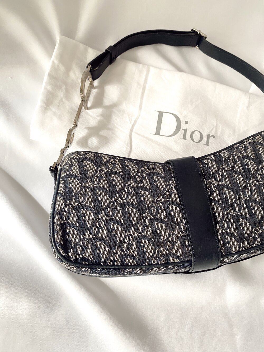 Rare Dior Charms Trotter Pochette — 3 Sisters Archive