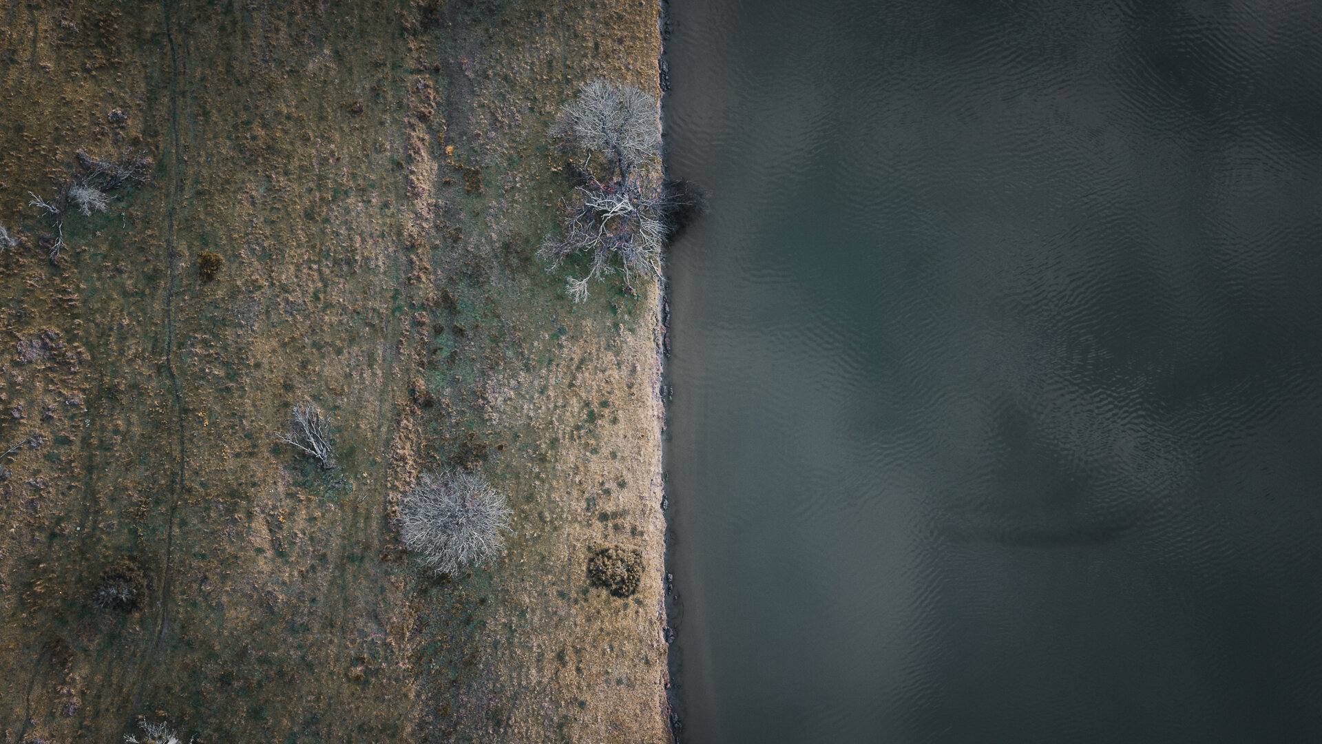 DJI_0088.jpg
