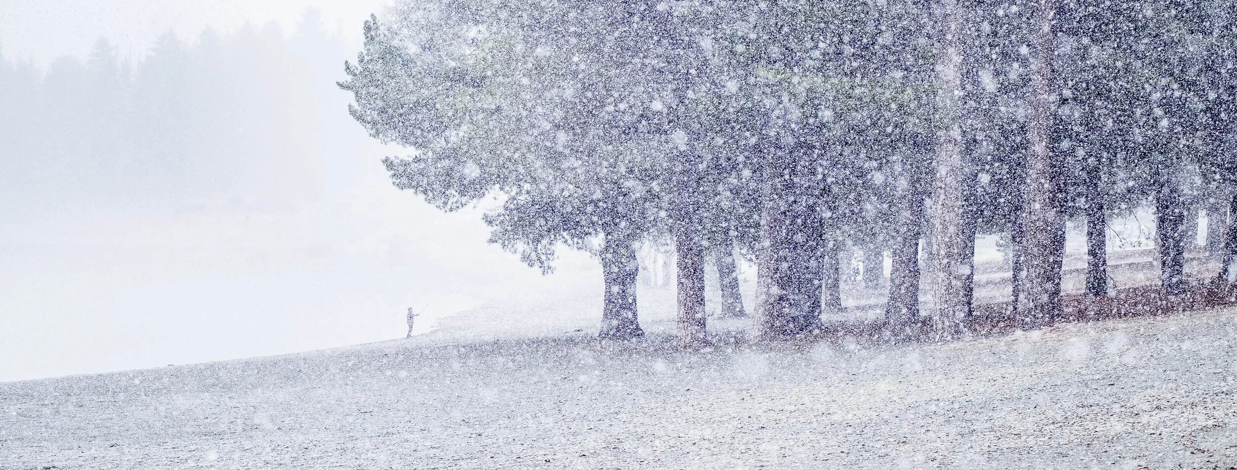 First Snow.jpg