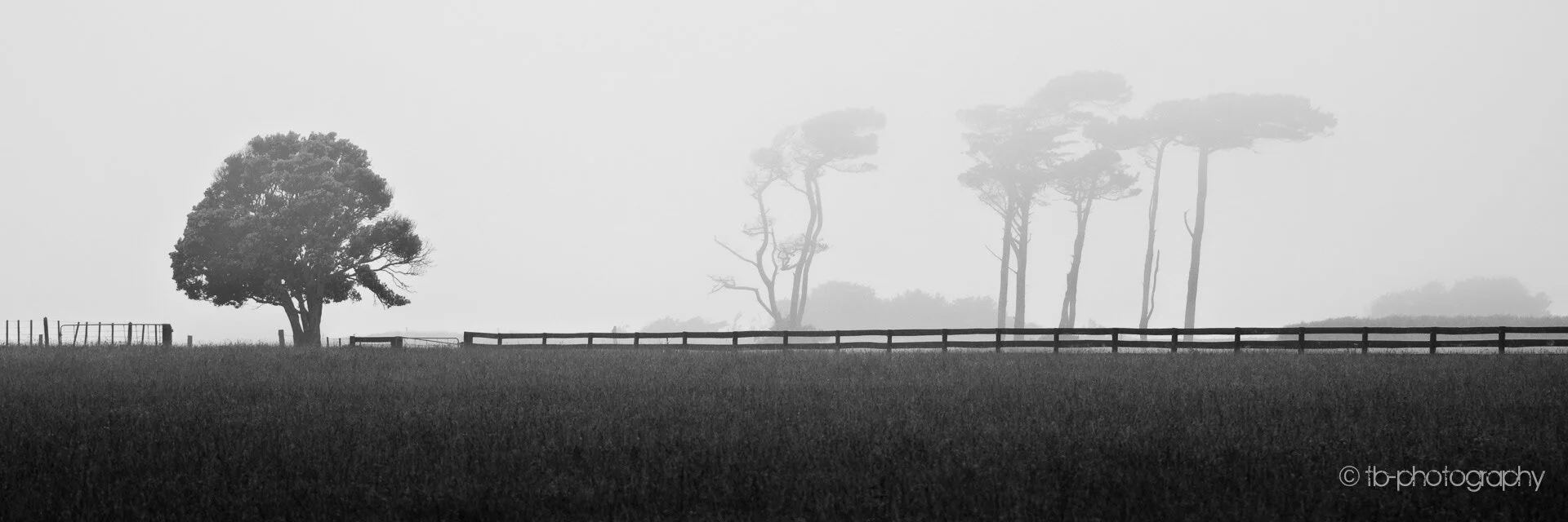 b49d570d71506a0a17ad66c6_rw_1920.jpg