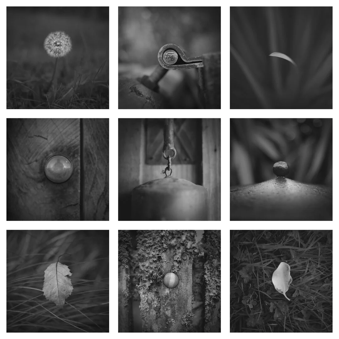 17 - B&W.jpg