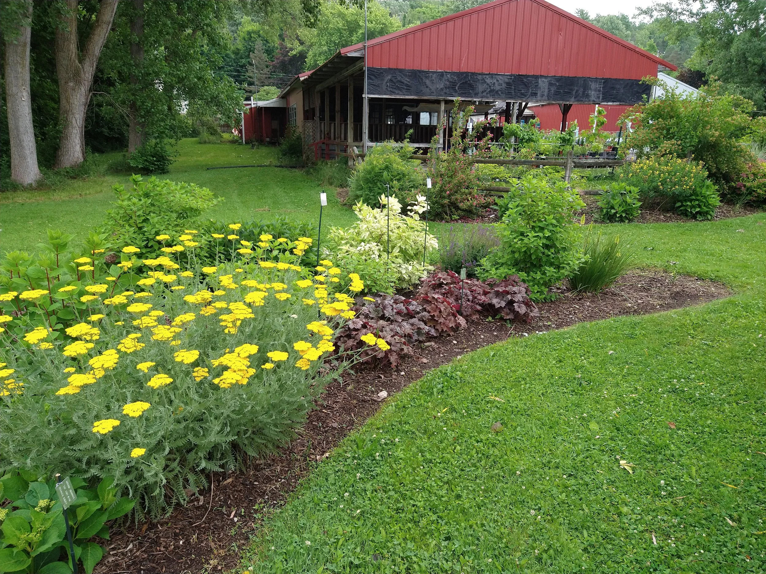 IMG_20250620_081814478.jpg
