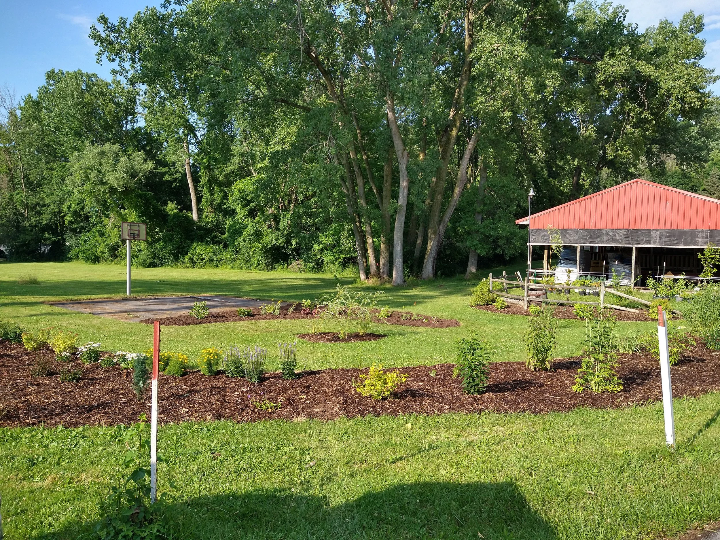 IMG_20230707_180356220_HDR.jpg
