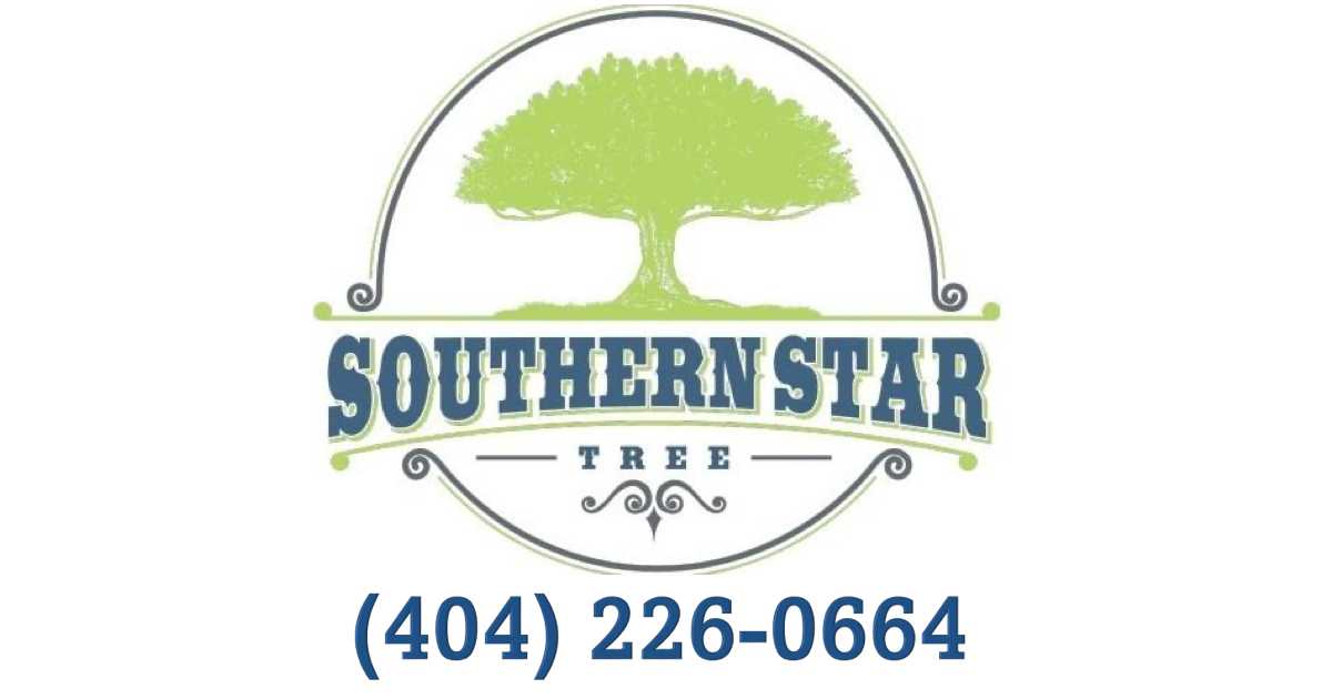 Southern Star Tree