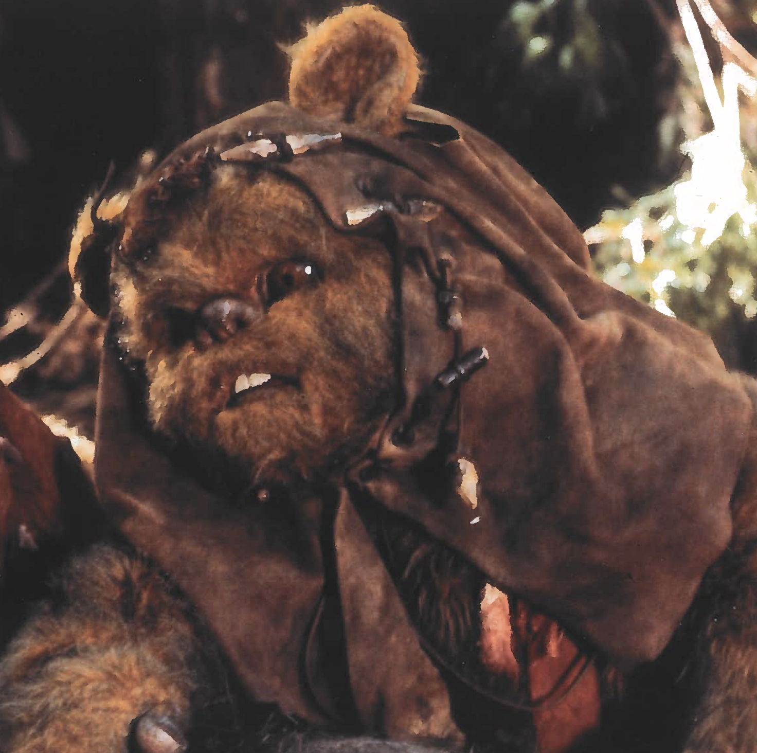 Screenshot 2026-02-27 at 1.23.00 PM.png