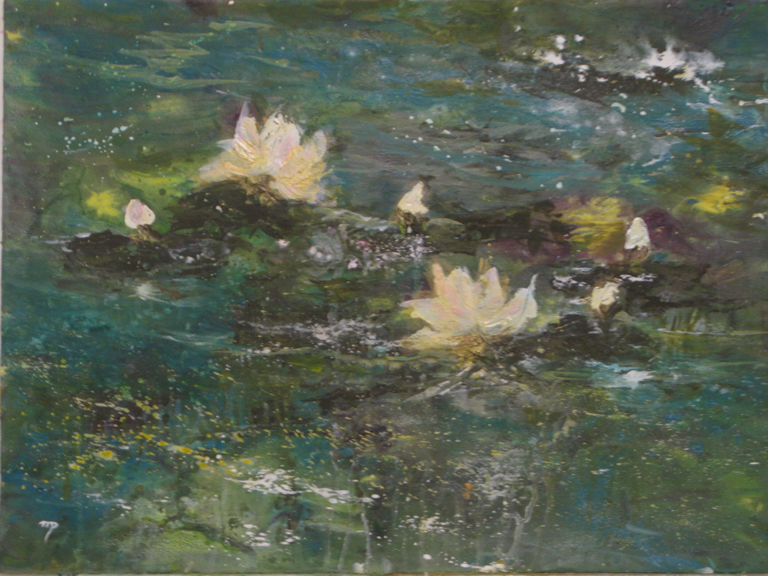 Waterlilies