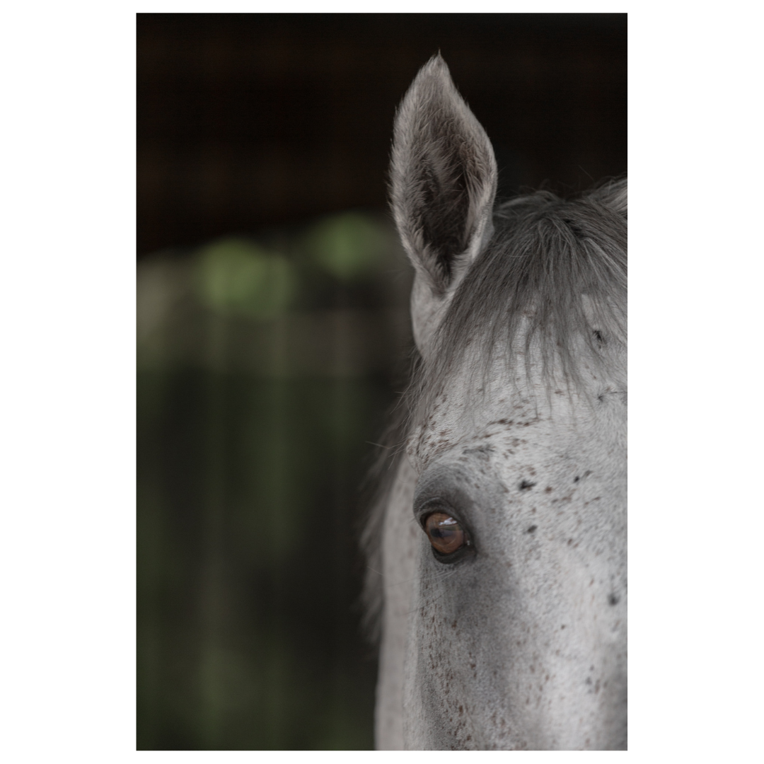 Susan Watson Knight and Trevor Mein — Attentive.png