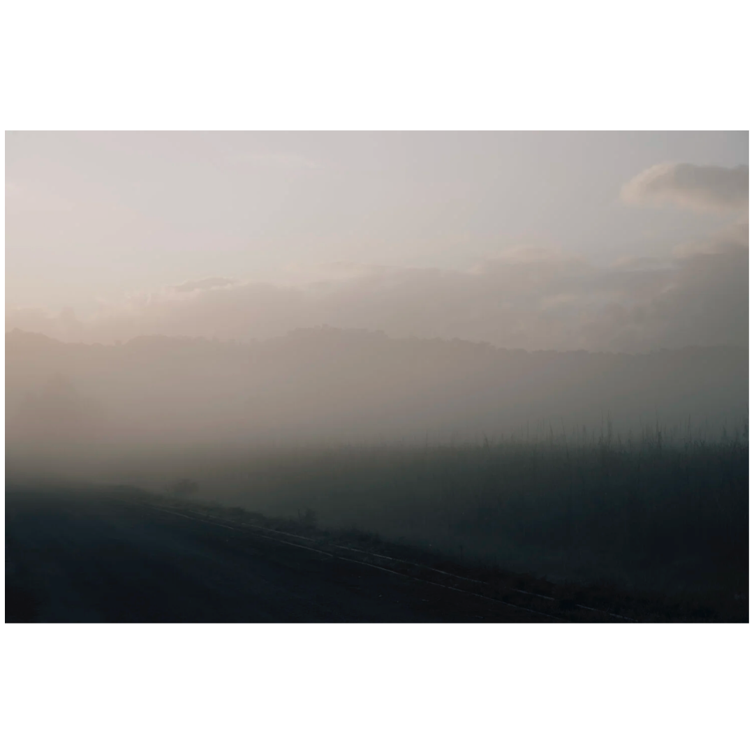 Caroline Cameron — East Russell River II — Limited Edition Print