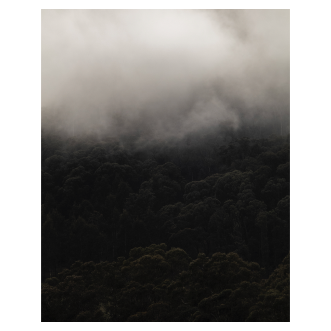 Caroline Cameron — Ashton — Limited Edition Print