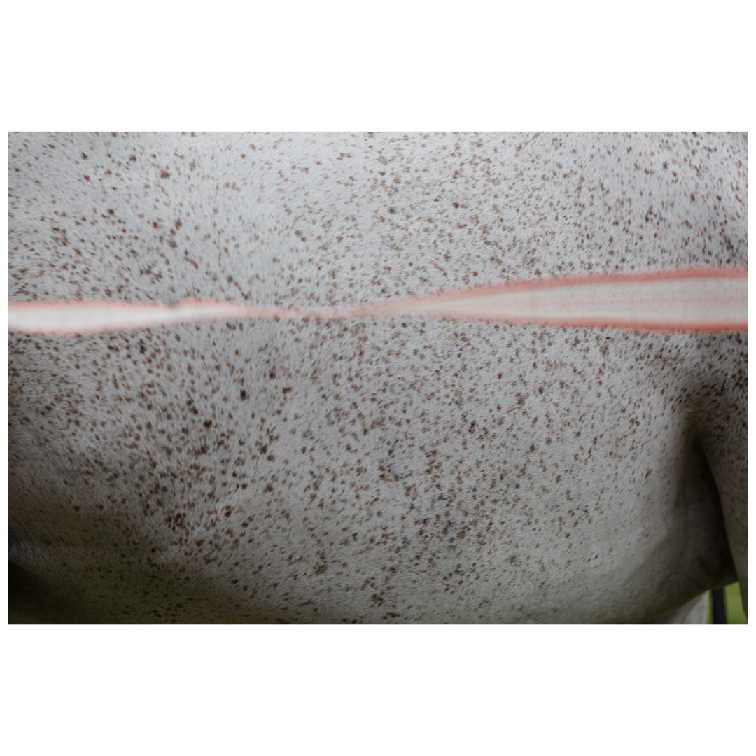 Susan Watson Knight and Trevor Mein — Boundary.png