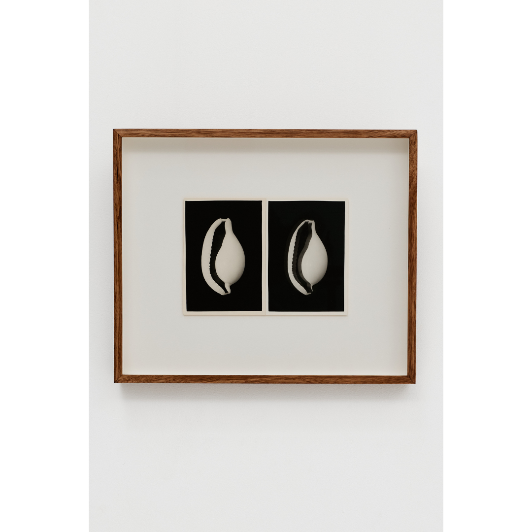 Ming Nomchong — Did I Just Imagine You (2025).png