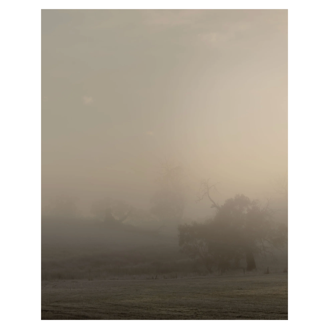Caroline Cameron — Adelaide Hills 08 55 22 am — Limited Edition Print