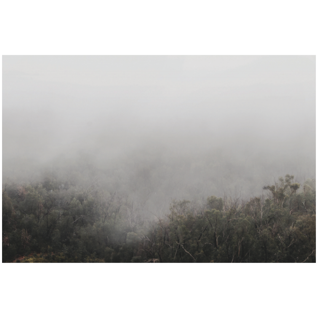 Caroline Cameron — Untitled. 01. V. — Limited Edition Print