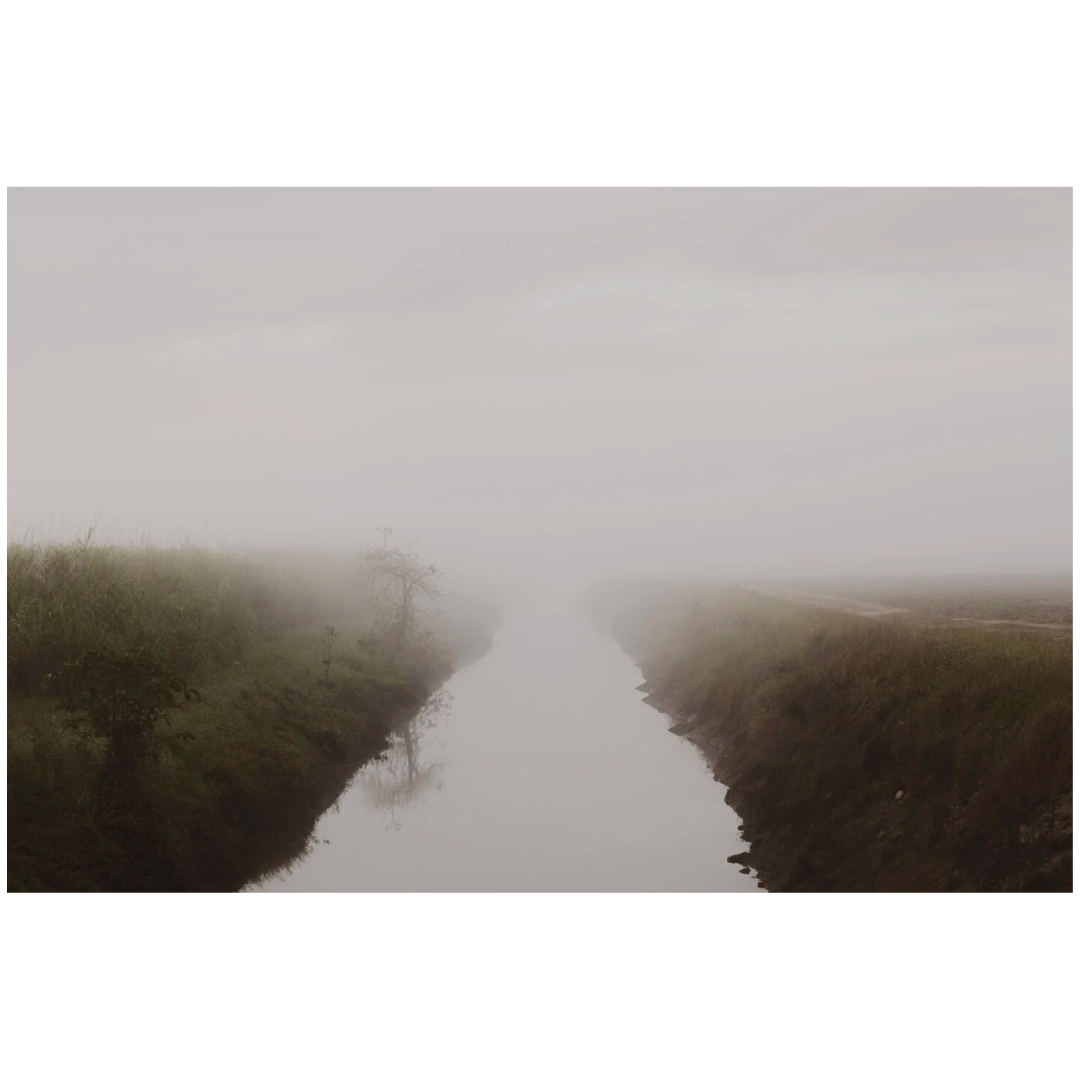 Caroline Cameron — East Russell River I — Limited Edition Print