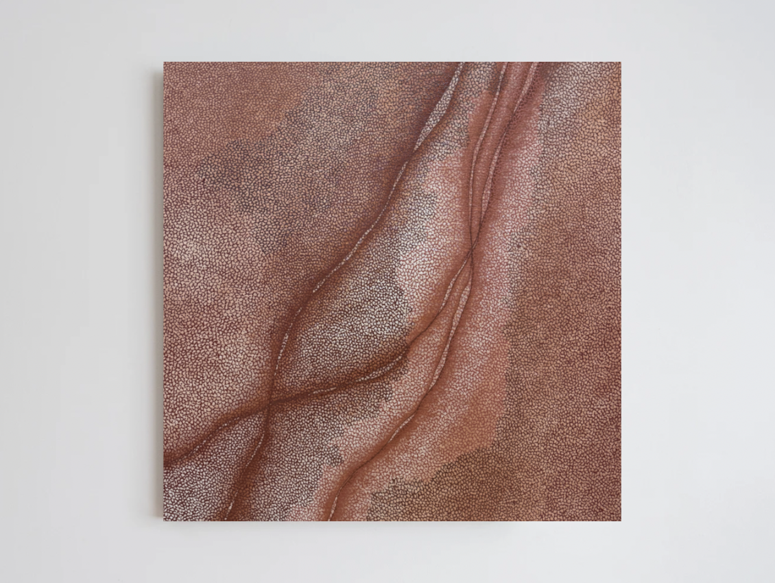 Hannah Lange — Ochre Coastline (2026) — Acrylic on Cotton Canvas — 96.5 cm x 90 cm