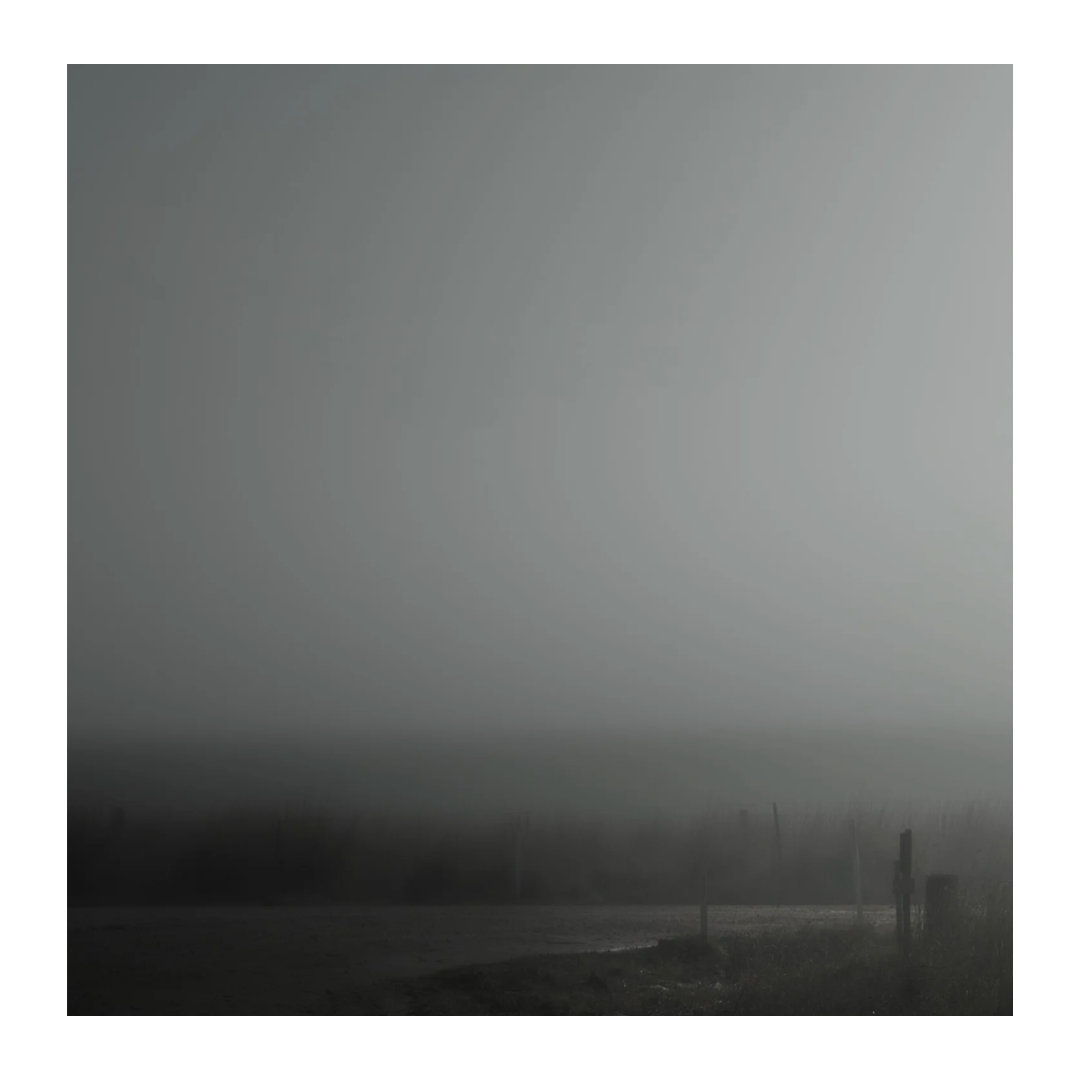 Caroline Cameron — Adelaide Hills 09 56 39 am — Limited Edition Print